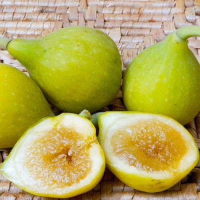 Інжир Медовий (10-30 см, ЗКС)